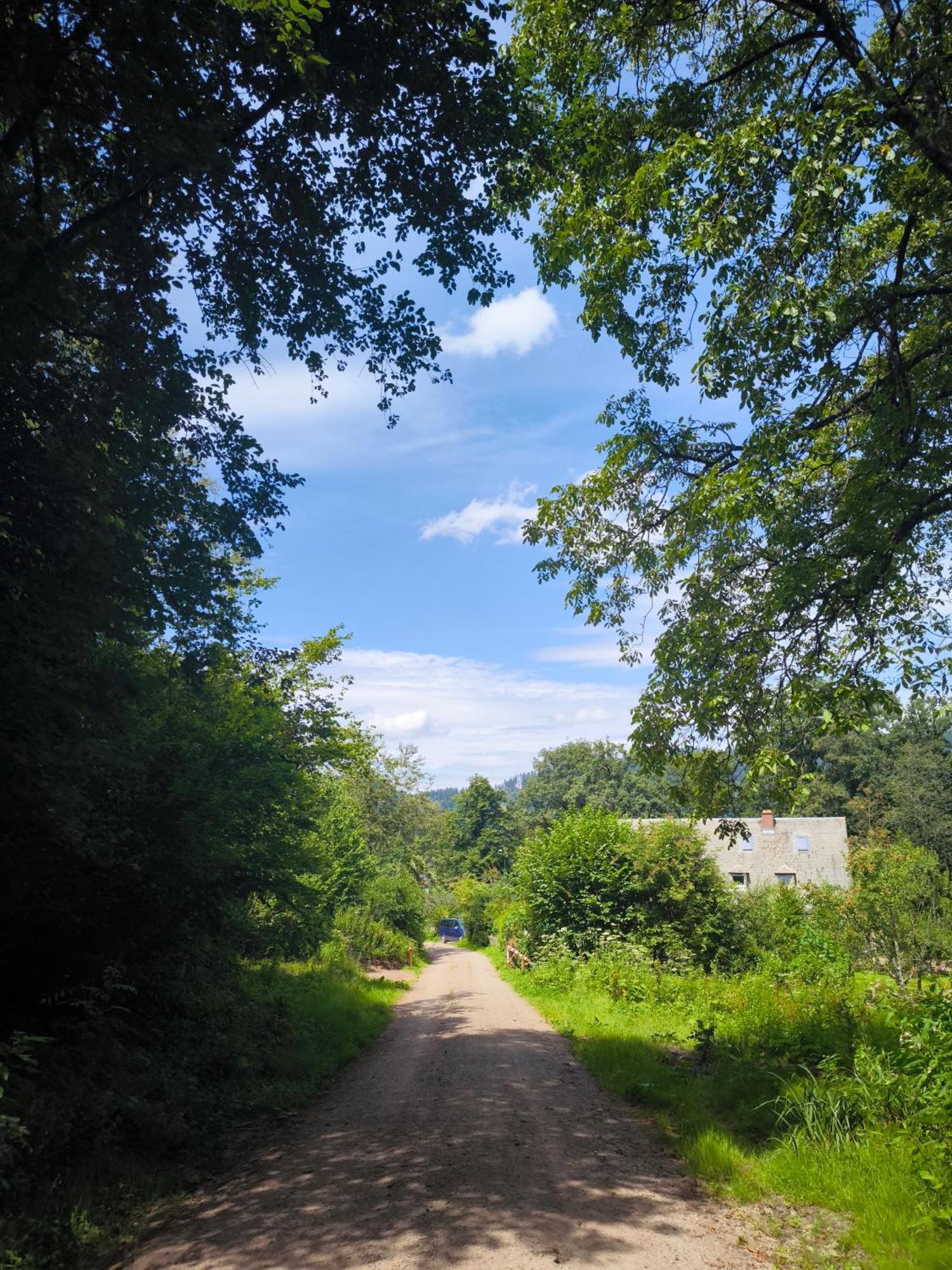 Hostel Waldblick Freiburg im Breisgau Buitenkant foto